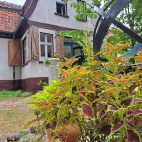 Dom na Mazurach Pilec in Pilec